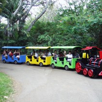Custom composite train for an amusement park